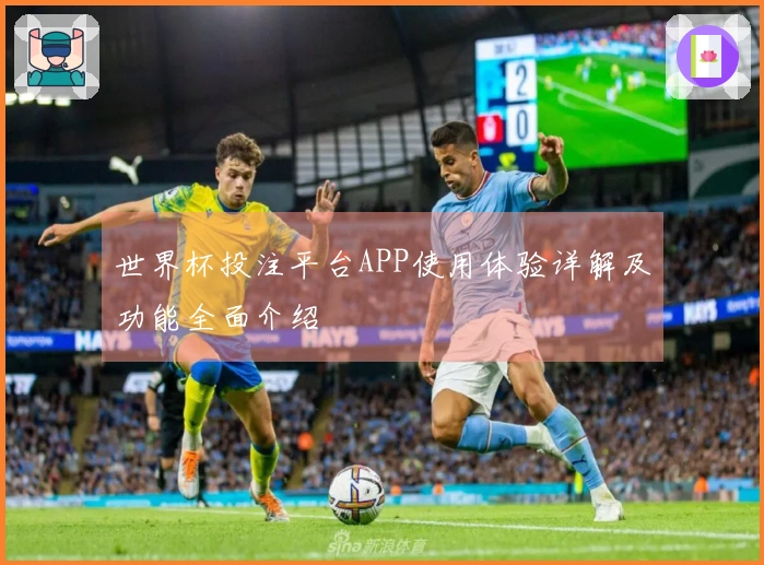 世界杯投注平台APP使用体验详解及功能全面介绍
