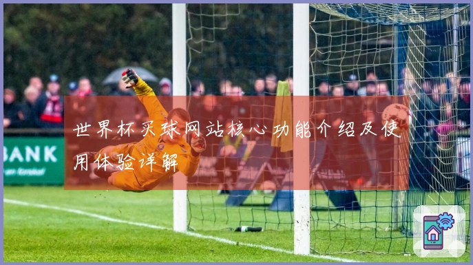 世界杯买球网站核心功能介绍及使用体验详解