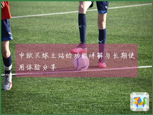 中欧买球主站的功能详解与长期使用体验分享