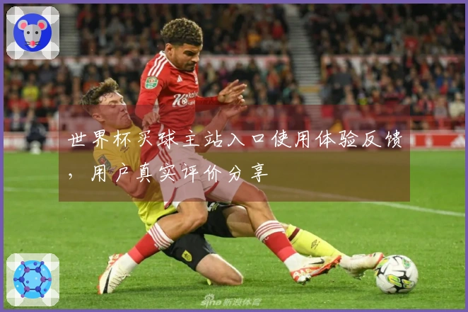 世界杯买球主站入口使用体验反馈,用户真实评价分享