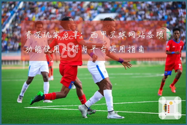 资深玩家分享：西甲买球网站各项功能使用心得与平台实用指南