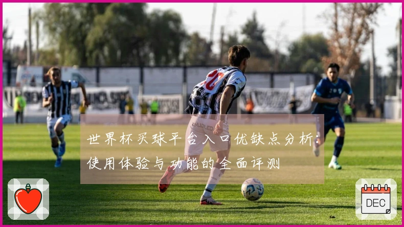 世界杯买球平台入口优缺点分析：使用体验与功能的全面评测