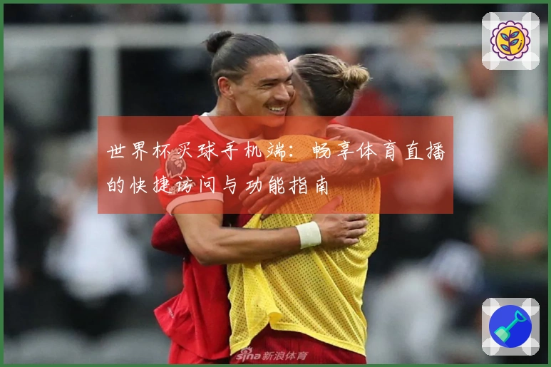 世界杯买球手机端：畅享体育直播的快捷访问与功能指南