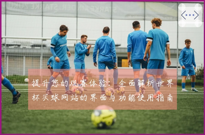 提升您的观赛体验：全面解析世界杯买球网站的界面与功能使用指南