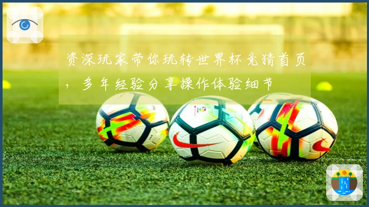 资深玩家带你玩转世界杯竞猜首页，多年经验分享操作体验细节