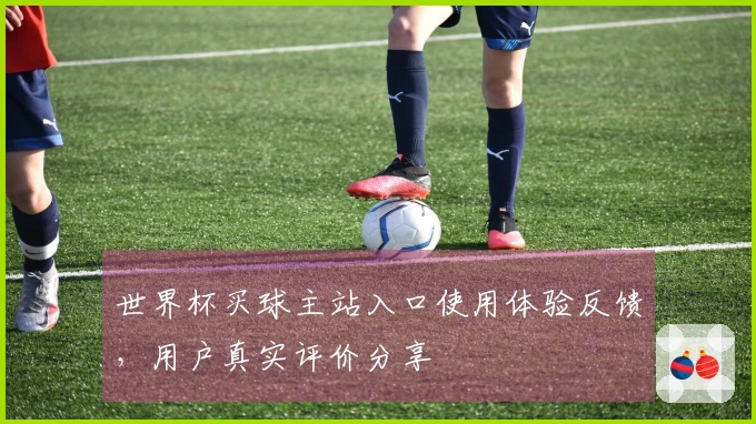 世界杯买球主站入口使用体验反馈，用户真实评价分享