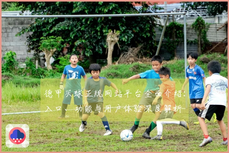 德甲买球正规网站平台全面介绍:入口、功能与用户体验深度解析