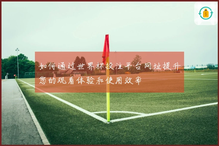 如何通过世界杯投注平台网址提升您的观看体验和使用效率
