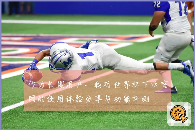 作为长期用户,我对世界杯下注官网的使用体验分享与功能评测
