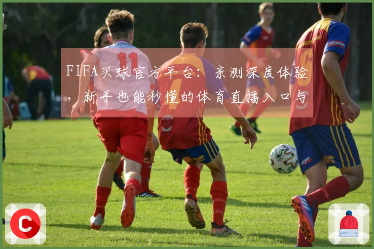 FIFA买球官方平台：亲测深度体验，新手也能秒懂的体育直播入口与实用功能