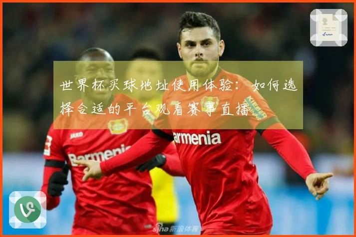 世界杯买球地址使用体验：如何选择合适的平台观看赛事直播