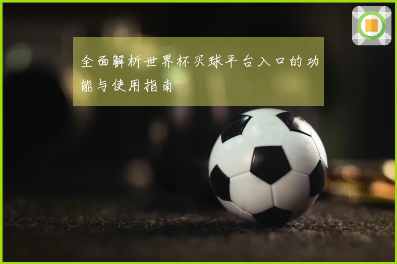 全面解析世界杯买球平台入口的功能与使用指南