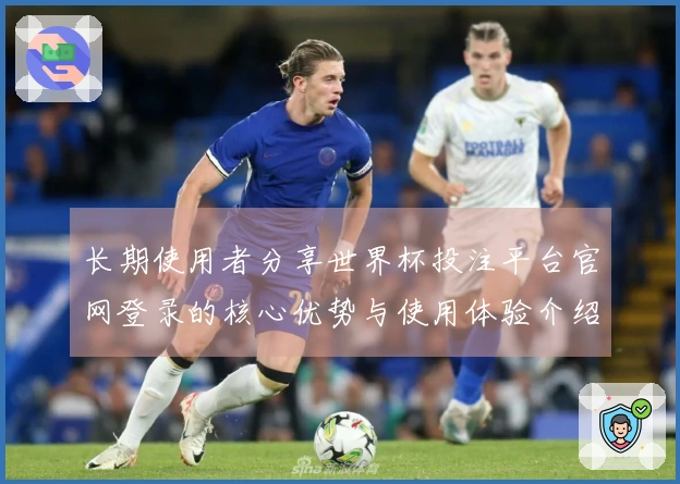 长期使用者分享世界杯投注平台官网登录的核心优势与使用体验介绍