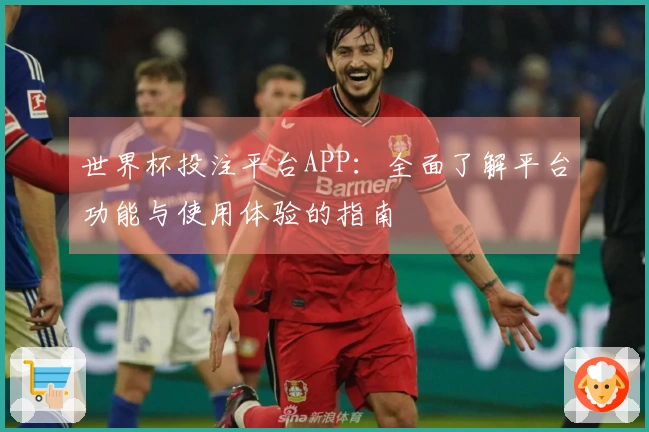世界杯投注平台APP：全面了解平台功能与使用体验的指南