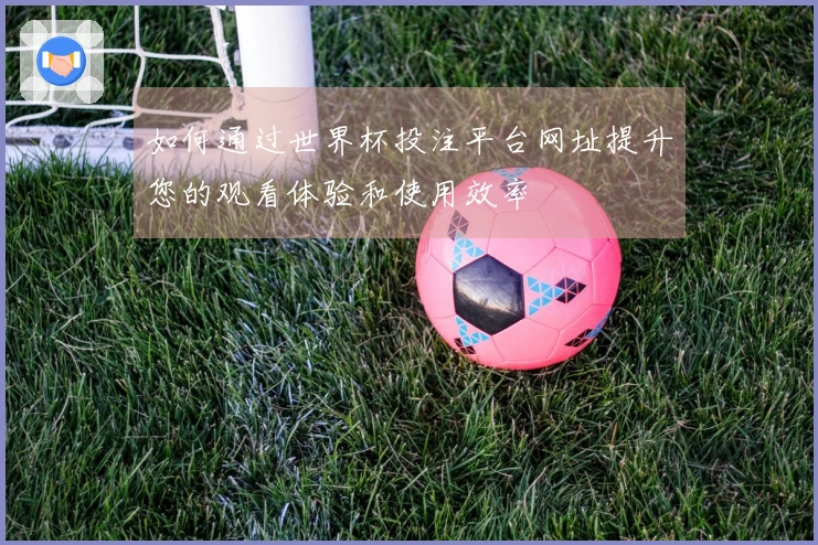 如何通过世界杯投注平台网址提升您的观看体验和使用效率