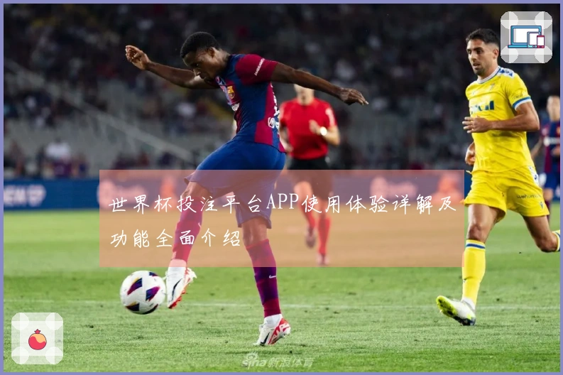世界杯投注平台APP使用体验详解及功能全面介绍